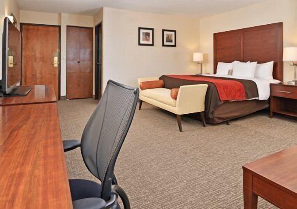 Comfort Inn & Suites Denver Northfield - photo 7