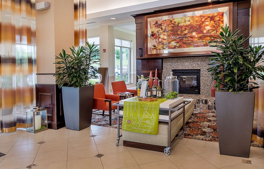 Hilton Garden Inn St. Louis Airport - photo 4