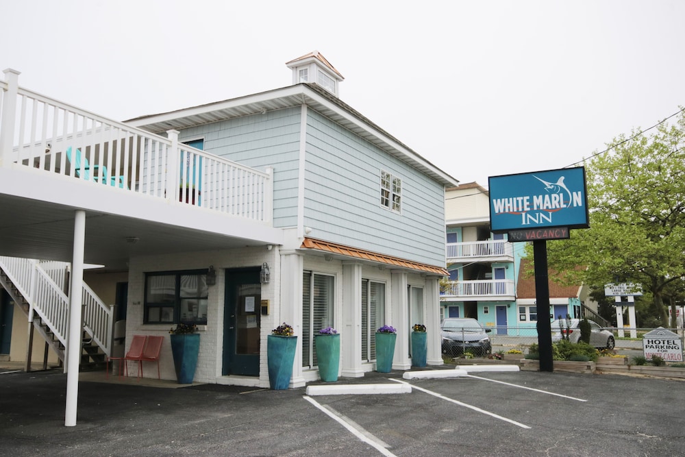 White Marlin Inn - photo 18