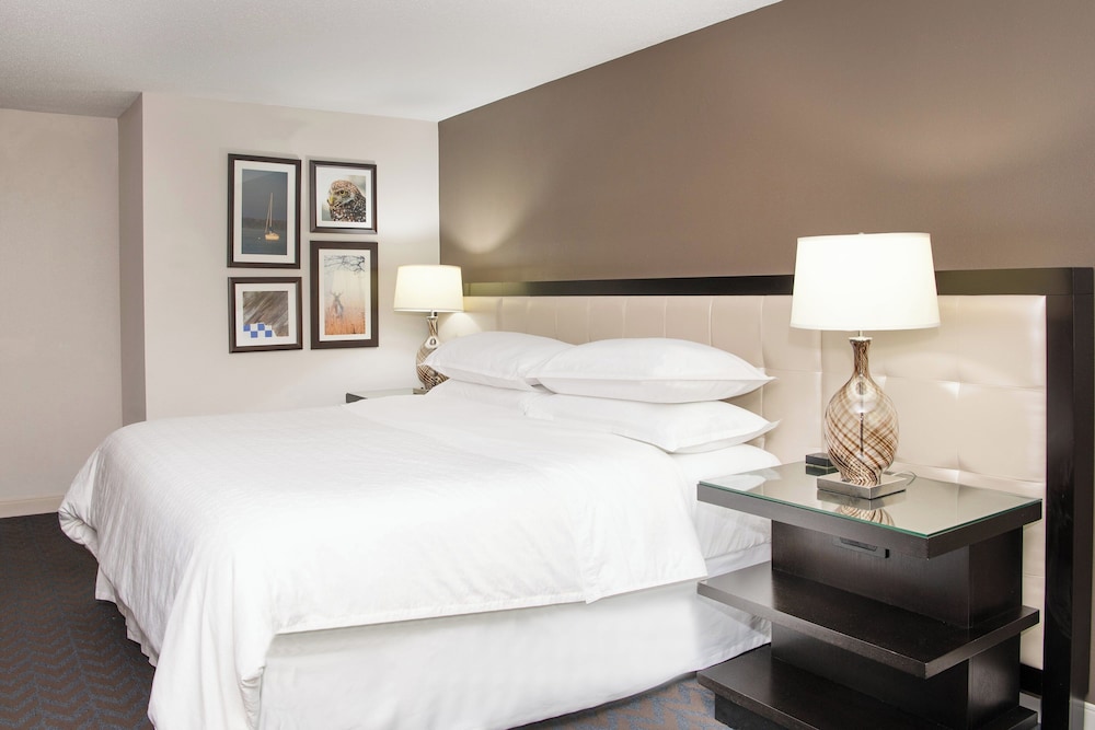 Sheraton Minneapolis West Hotel - photo 30
