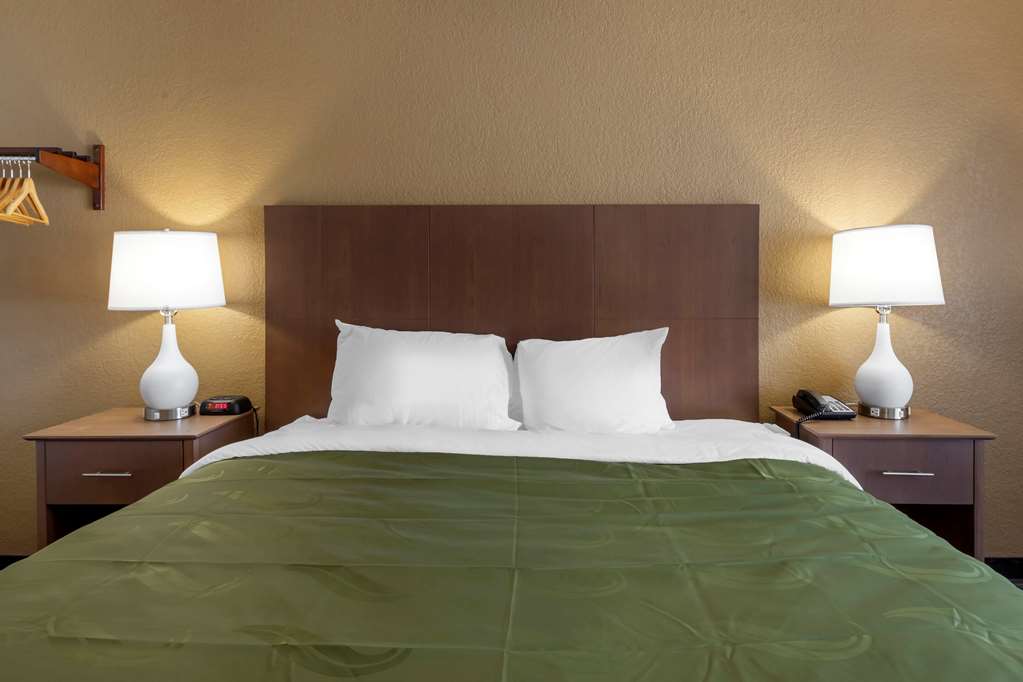 Quality Inn Saint Petersburg North Tampa Bay - photo 11