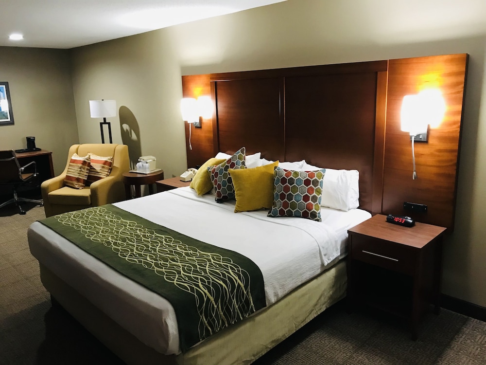 Comfort Inn Erie Near Presque Isle - photo 9