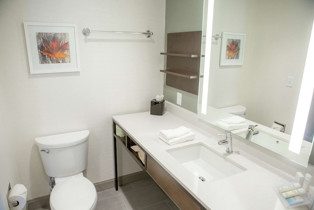 Hilton Garden Inn Corning Downtown - photo 18