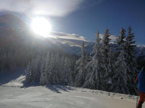 Ferienwohnungen Ellmer — 4-Star Luxury Hotel in Flachau, Austria