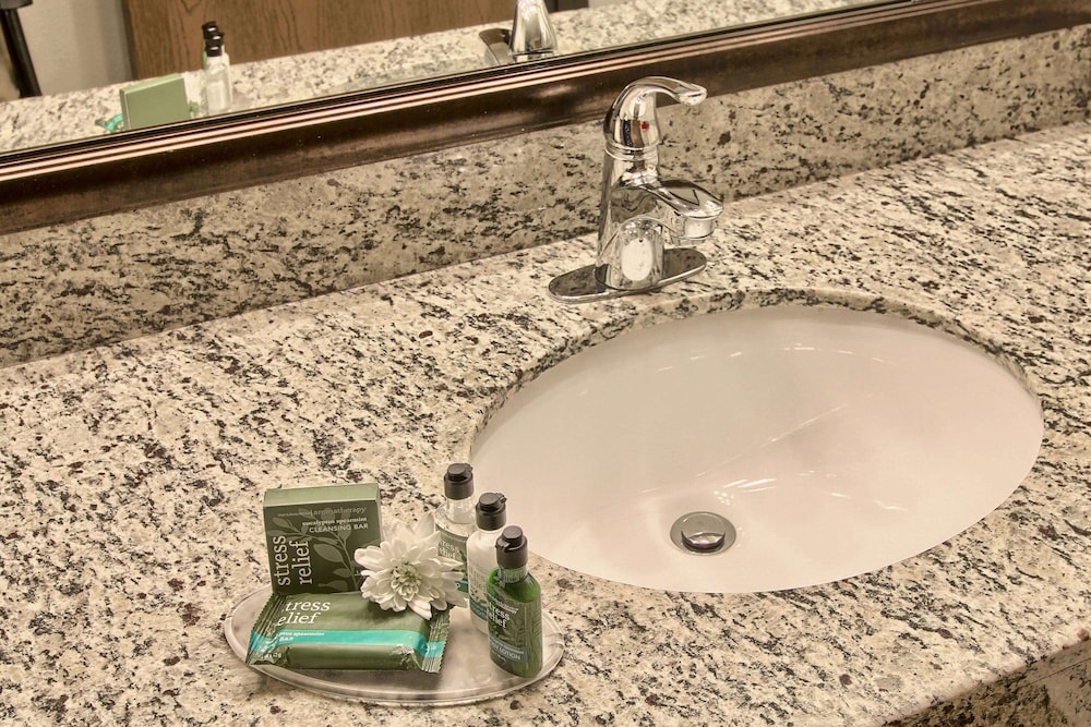 Blossom Hotel & Suites Traverse City - photo 33