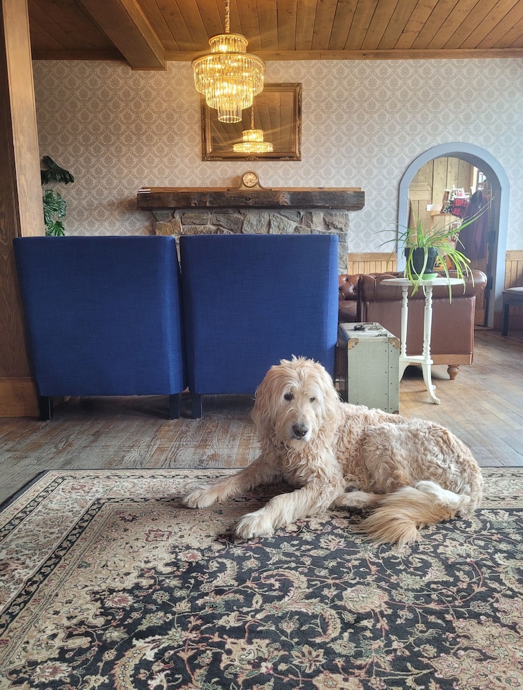 The Hand Hotel Bed & Breakfast in Fairplay, United States