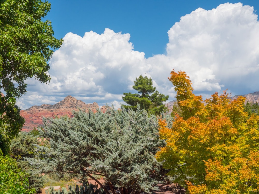 Sky Ranch Lodge - photo 37