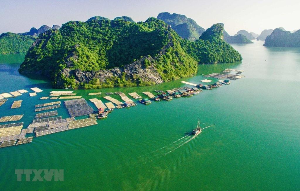 nhà nghỉ Hưng Thơm — Haiphong — photo 5