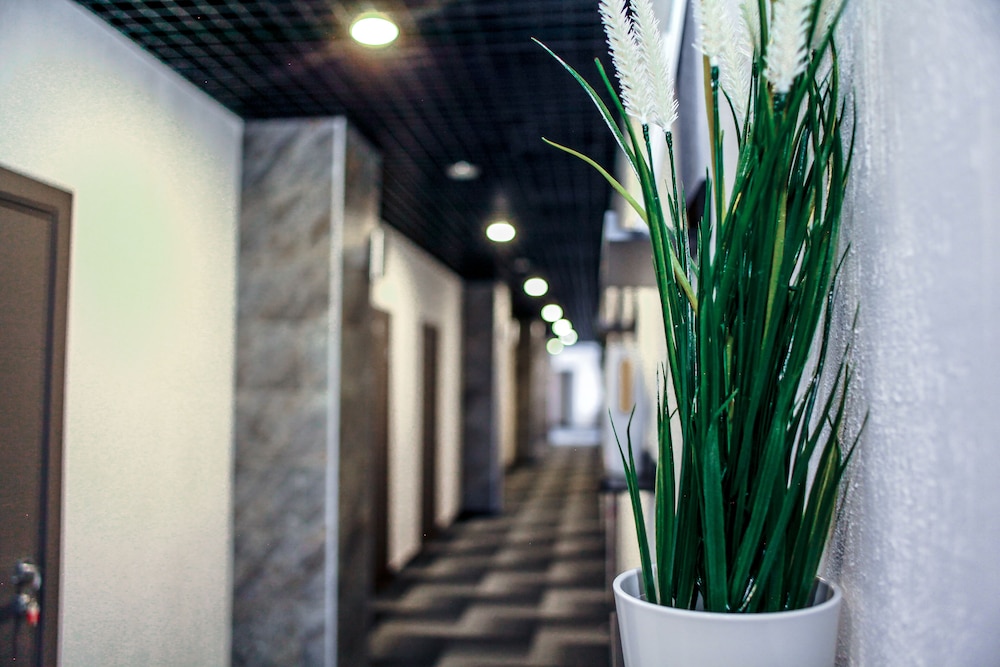 Biznes Hotel — hotel in Magnitogorsk
