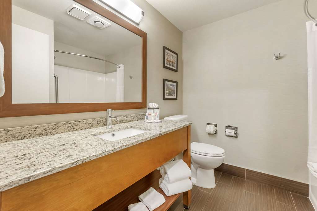 Comfort Inn & Suites Sea Tac Airport - photo 14