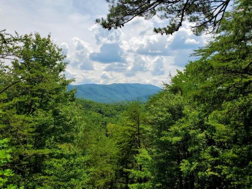 Hillbilly Hilton by RedAwning - last minute hotel in Pigeon Forge