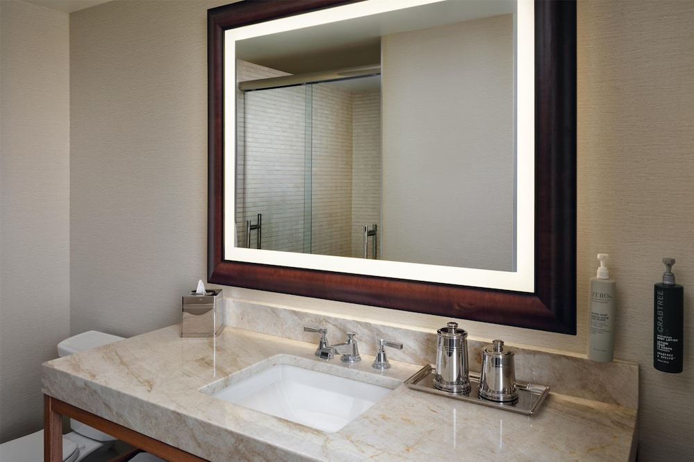 Hilton Chicago - photo 85