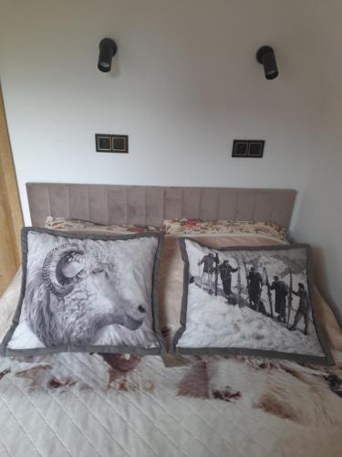 Domek u Socków - last minute hotel in Zakopane