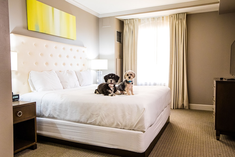 Magnolia Hotel St. Louis a Tribute Portfolio Hotel - photo 47