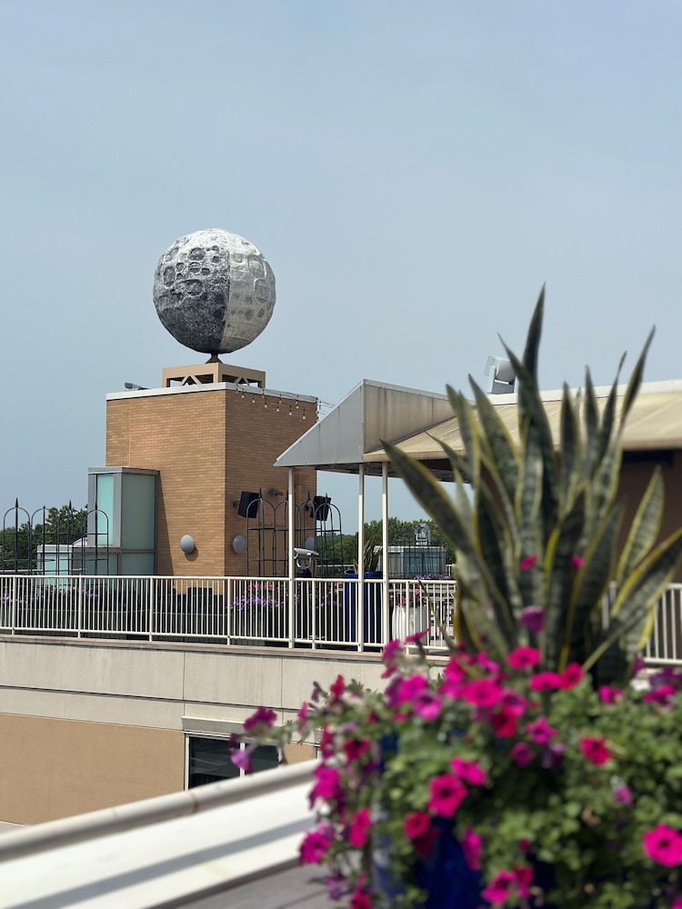 Moonrise Hotel - photo 41