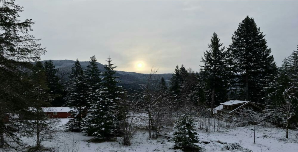 Packwood Family Ski and Vacation Getaway - photo 45