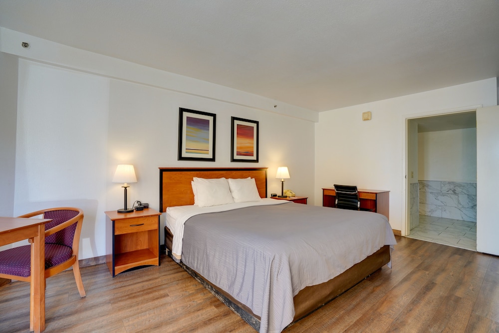 Lake Mead Inn - photo 8