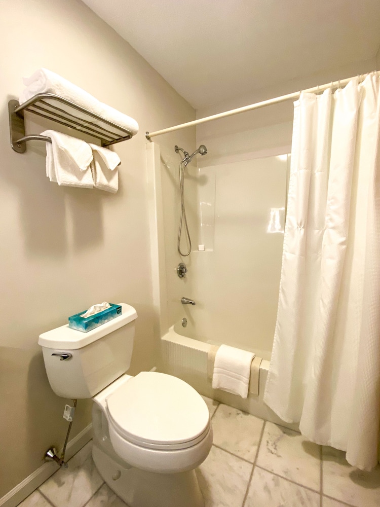 The Central Downtown Inn & Suites - photo 41