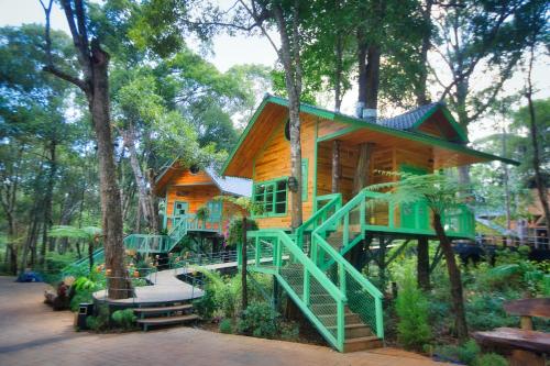 Măng Đen Treehouse Village Resort & Zipline in Pleiku, Vietnam