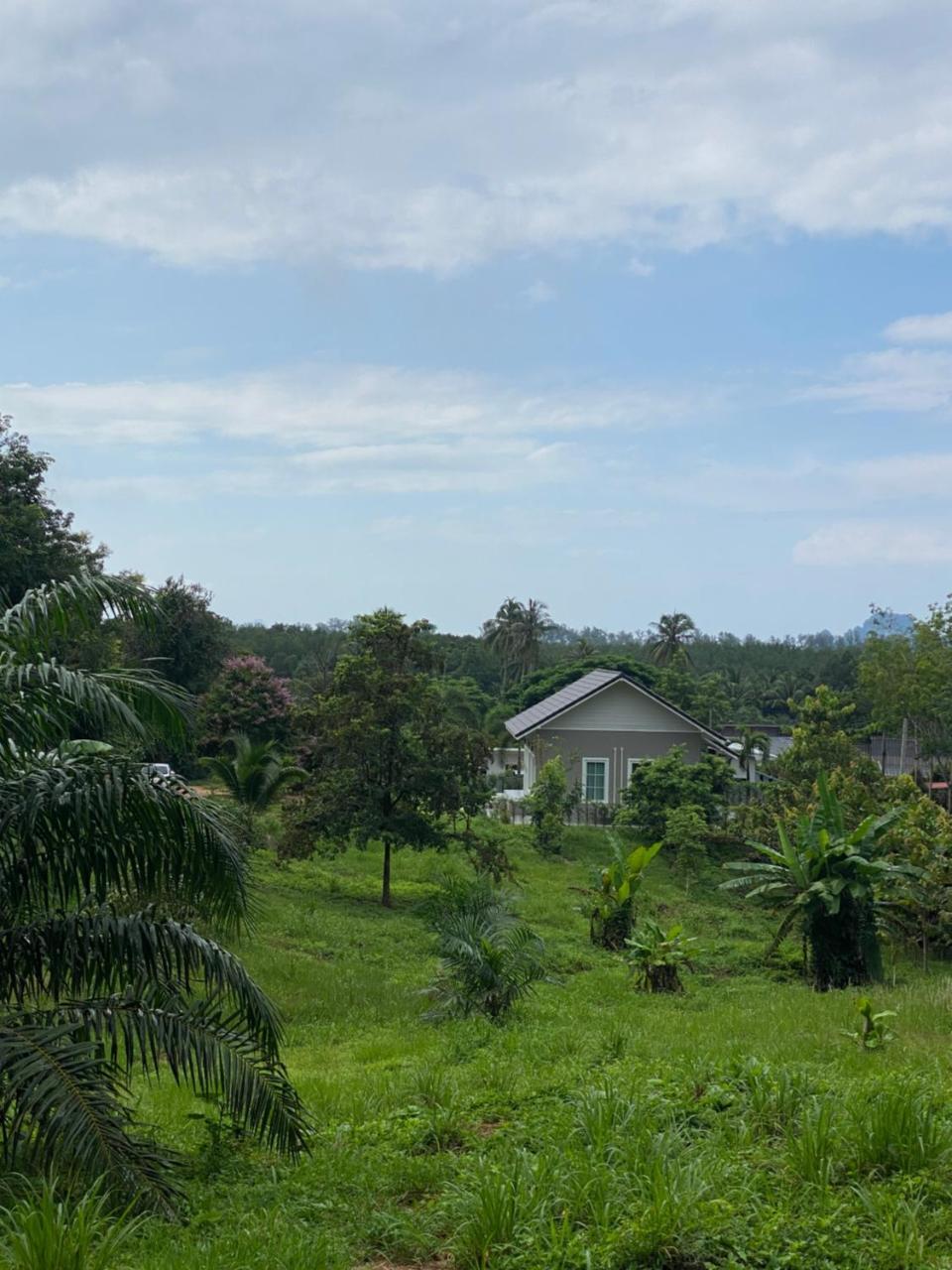 Green Tree Cottage5 in Unknown City, Thailand