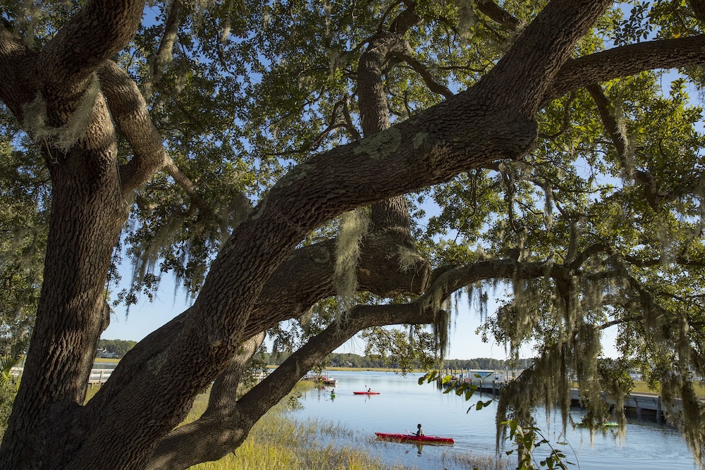 The Westin Hilton Head Island Resort & Spa - photo 66