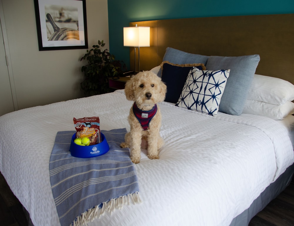 Sunset Beach Resort - photo 10