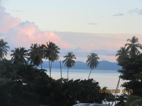 Pelicano Tropical Paraiso Samana — 4-Star Luxury Hotel in Samana, Dominican Republic