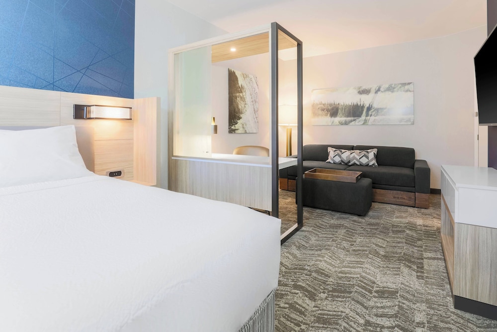 SpringHill Suites by Marriott Truckee Lake Tahoe - photo 8