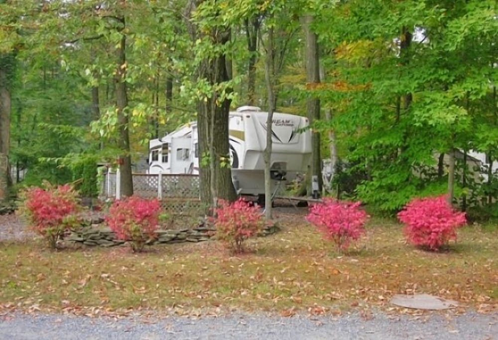 Appalachian Campsites - photo 68