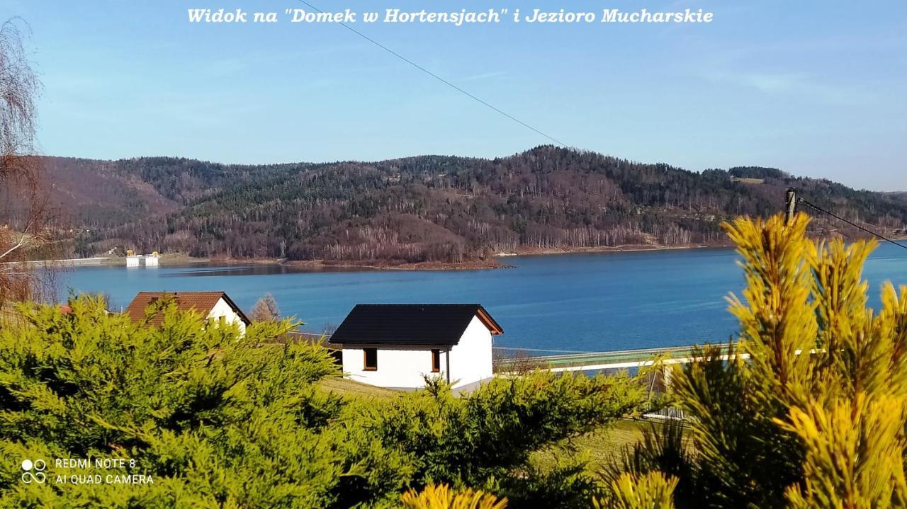 Domek W Hortensjach - last minute hotel in Unknown City