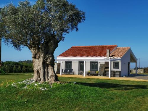 Kuanza Farmhouse and Lodge — 4-Star Luxury Hotel in Zambujeira Do Mar, Portugal