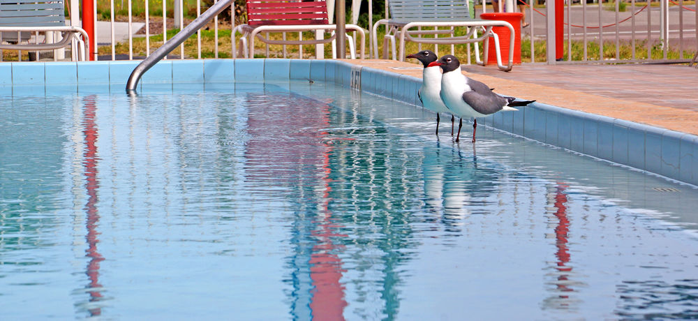 Beachwalk Inn in Clearwater, United States