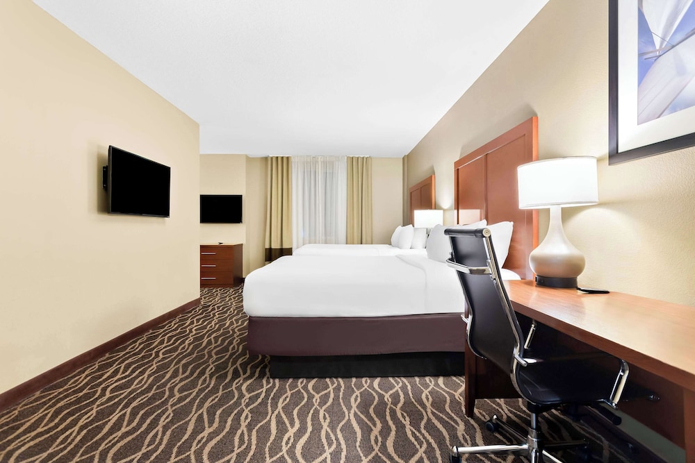 Comfort Suites Tampa Airport North - photo 8