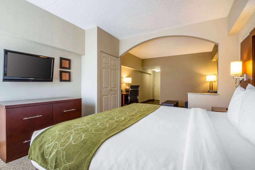 Comfort Suites at Woodbridge - photo 20