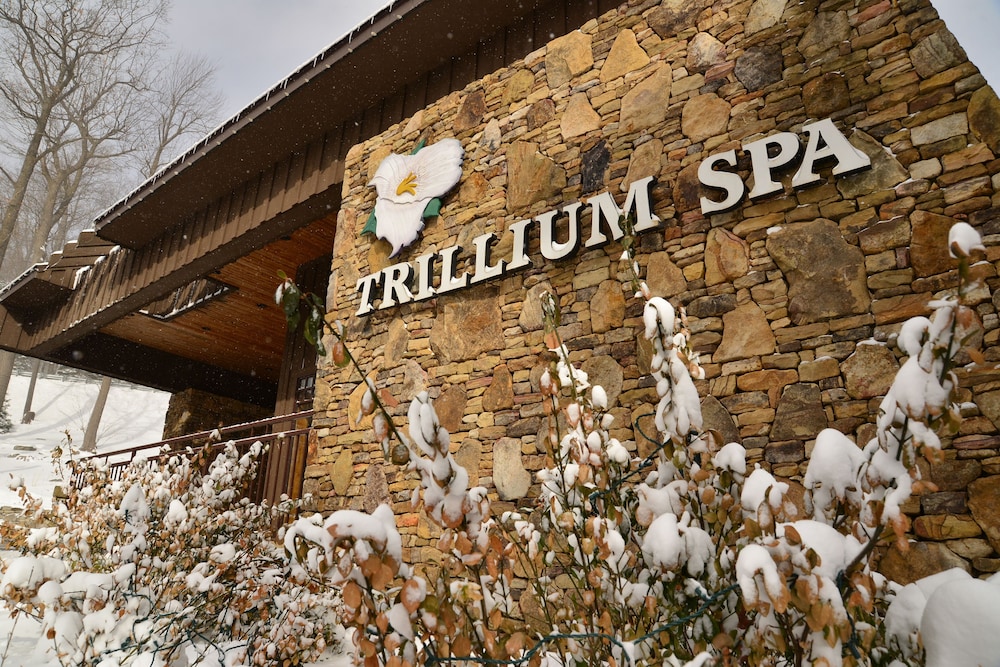 Seven Springs Resort by Vail Resorts - photo 122