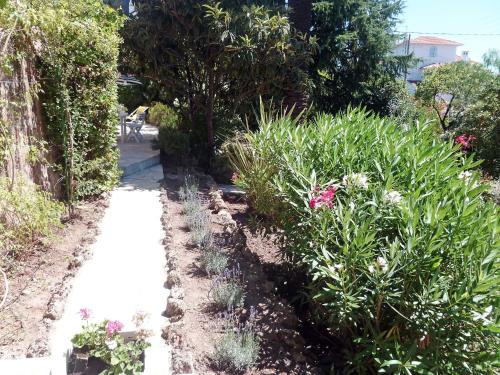 Vire vent Inh 33646 — Saint-Raphael — photo 3
