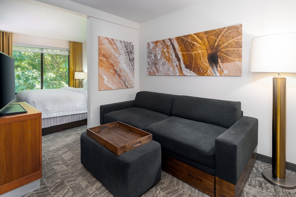 SpringHill Suites by Marriott Asheville in Asheville, United States