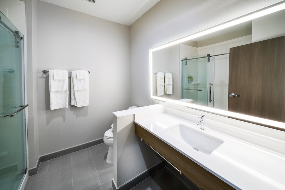 Holiday Inn Express & Suites Houston SW Rosenberg by IHG - photo 21