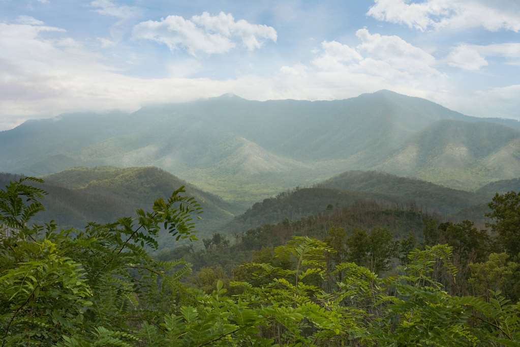 Ramada by Wyndham Pigeon Forge North - photo 36