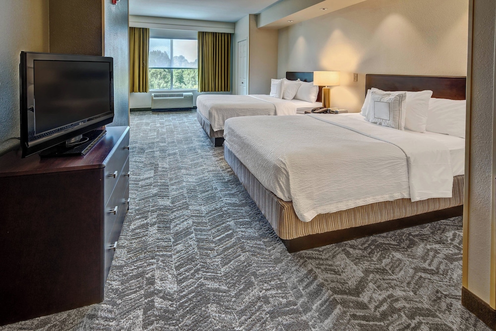 Springhill Suites by Marriott New Bern - photo 12