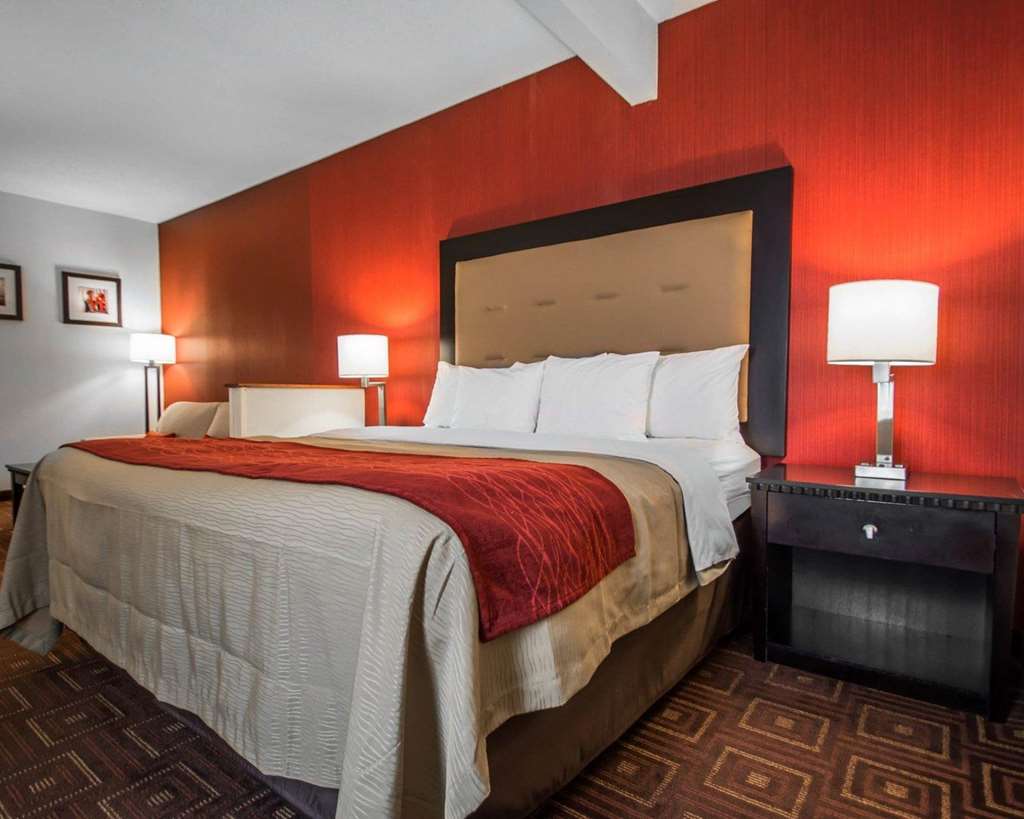 Quality Inn & Suites NJ State Capital Area - photo 13