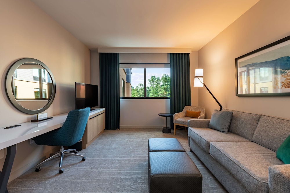 Hilton Garden Inn Boston Canton - photo 14
