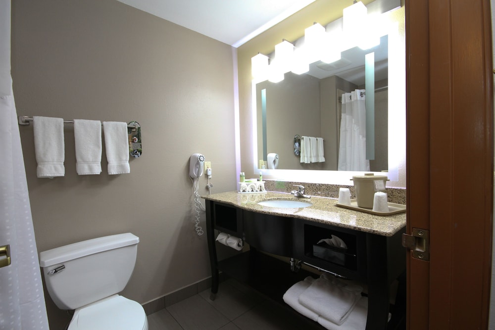 Holiday Inn Express Marshall by IHG - photo 18