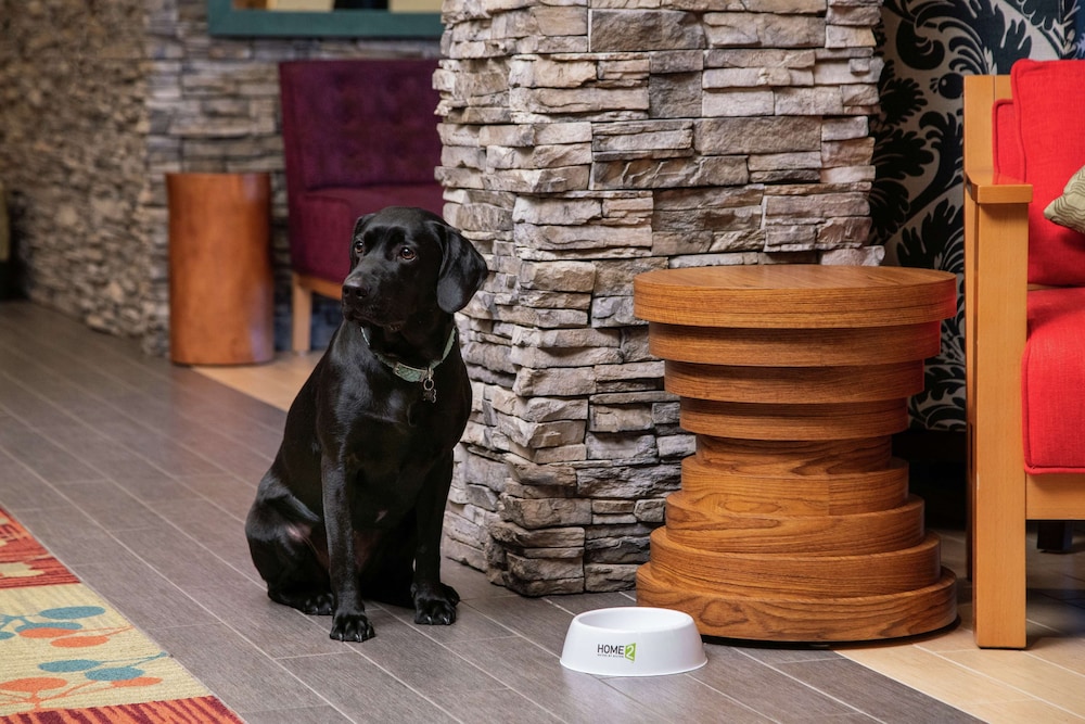 Home2 Suites by Hilton Anchorage Midtown - photo 2