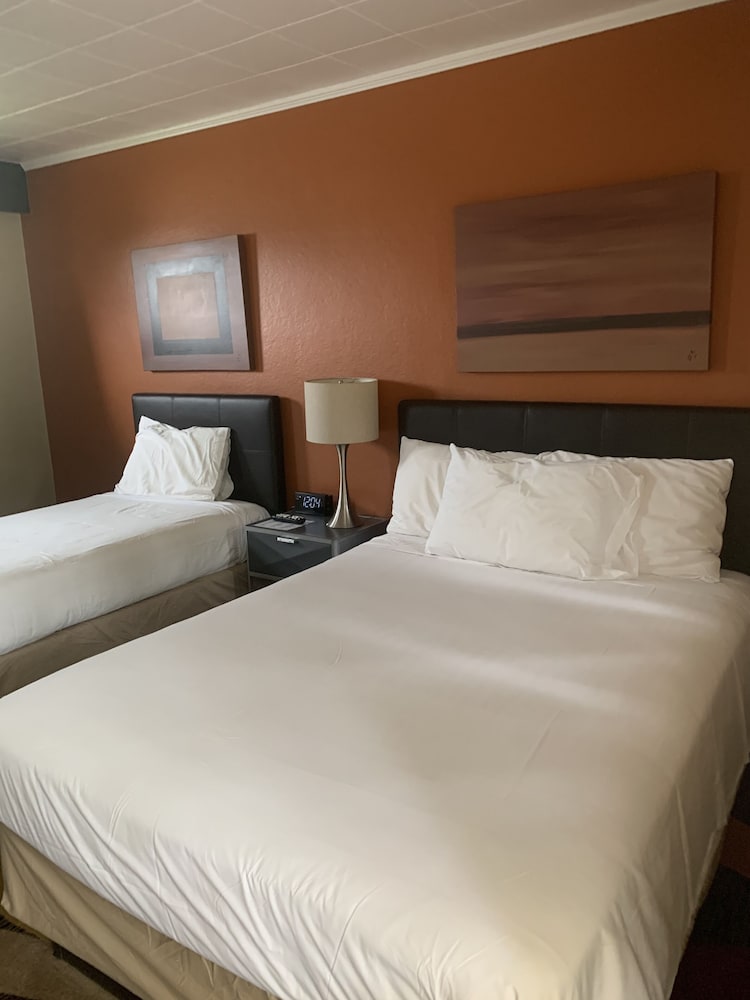 The Triangle Motel - photo 11
