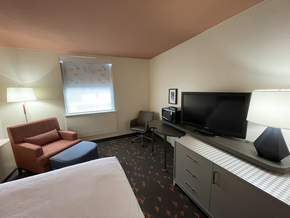 Holiday Inn Bangor by IHG - photo 11