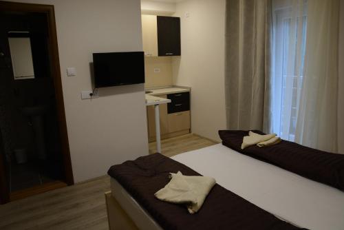 Atomski cvet Atomska banja Gornja Trepča in Cacak, Serbia