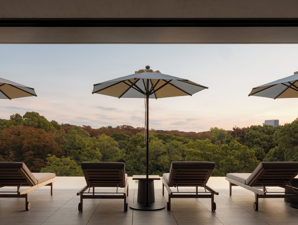 Trunk Yoyogi Park in Tokyo, Japan