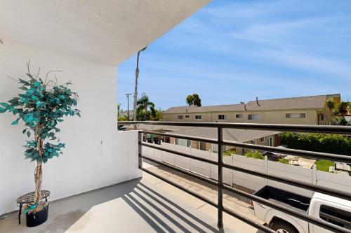 Sunshine Fun Time in Newport Beach, United States