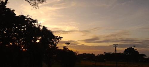 Mi Fundo — Acacias — photo 4